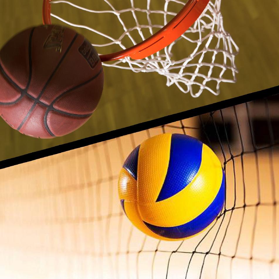 Volley- & Basketball
